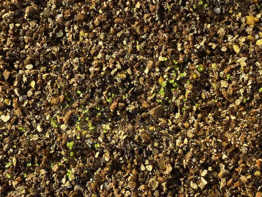 バーミキュライト混入